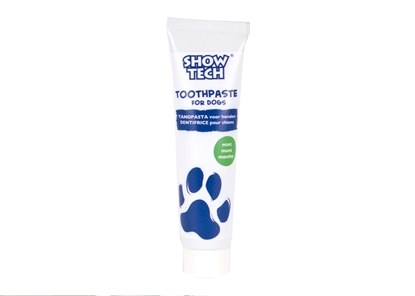 Picture of Show Tech Mint Toothpaste – Fresh Breath & Healthy Teeth